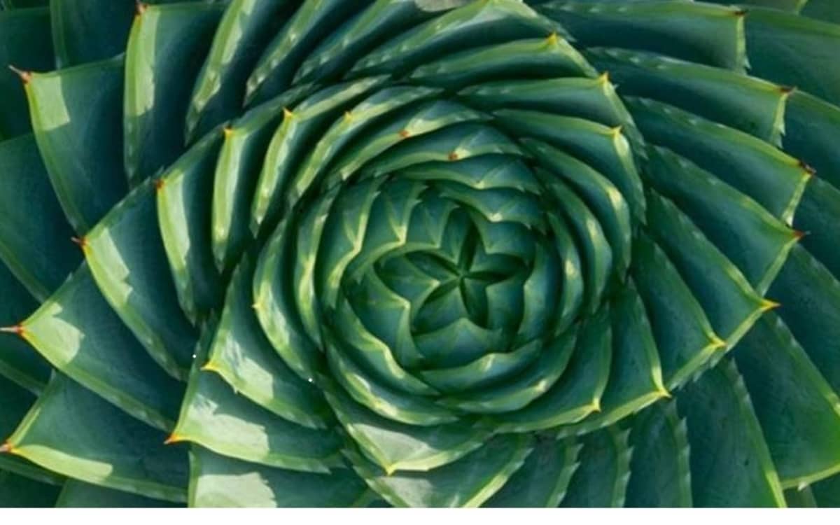 la nature modèle de la science