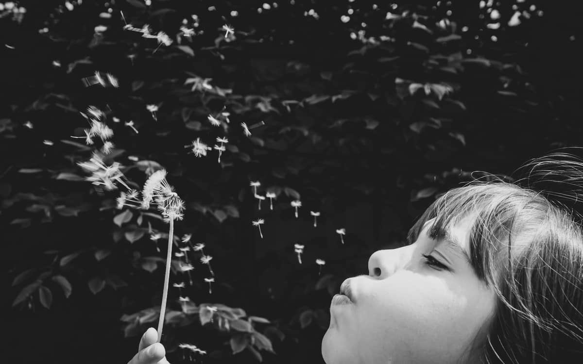 Atelier Pollens et allergies