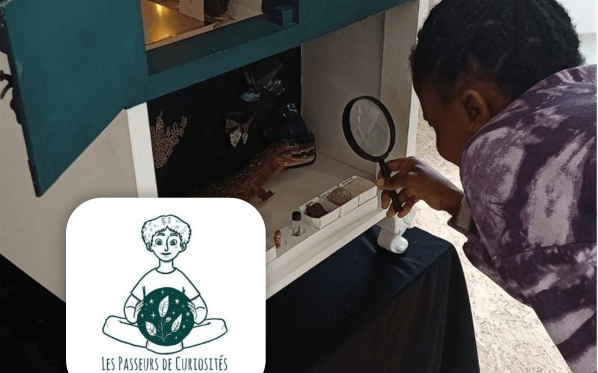 Escape Box avec "Les Passeurs de Curiosités"