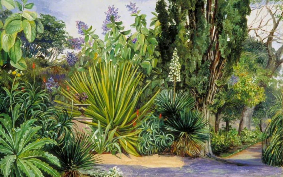 L'empire de la nature : une histoire des jardins botaniques coloniaux