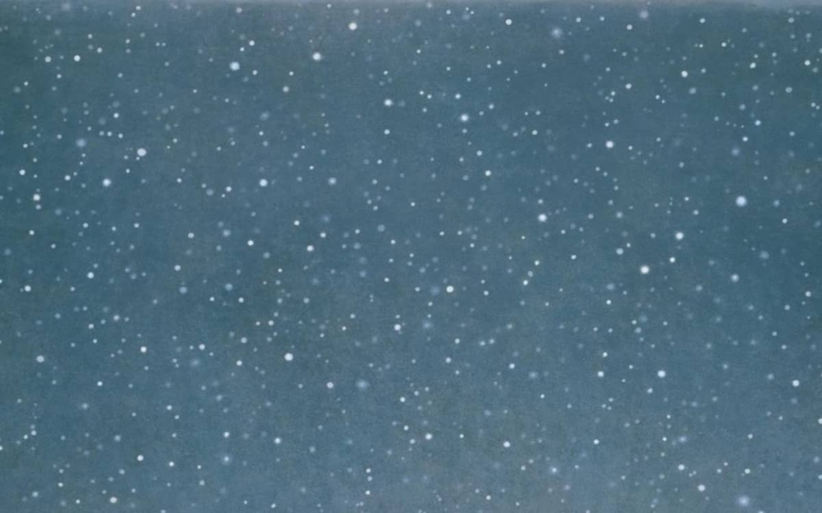 Contrepoint contemporain. Vija Celmins