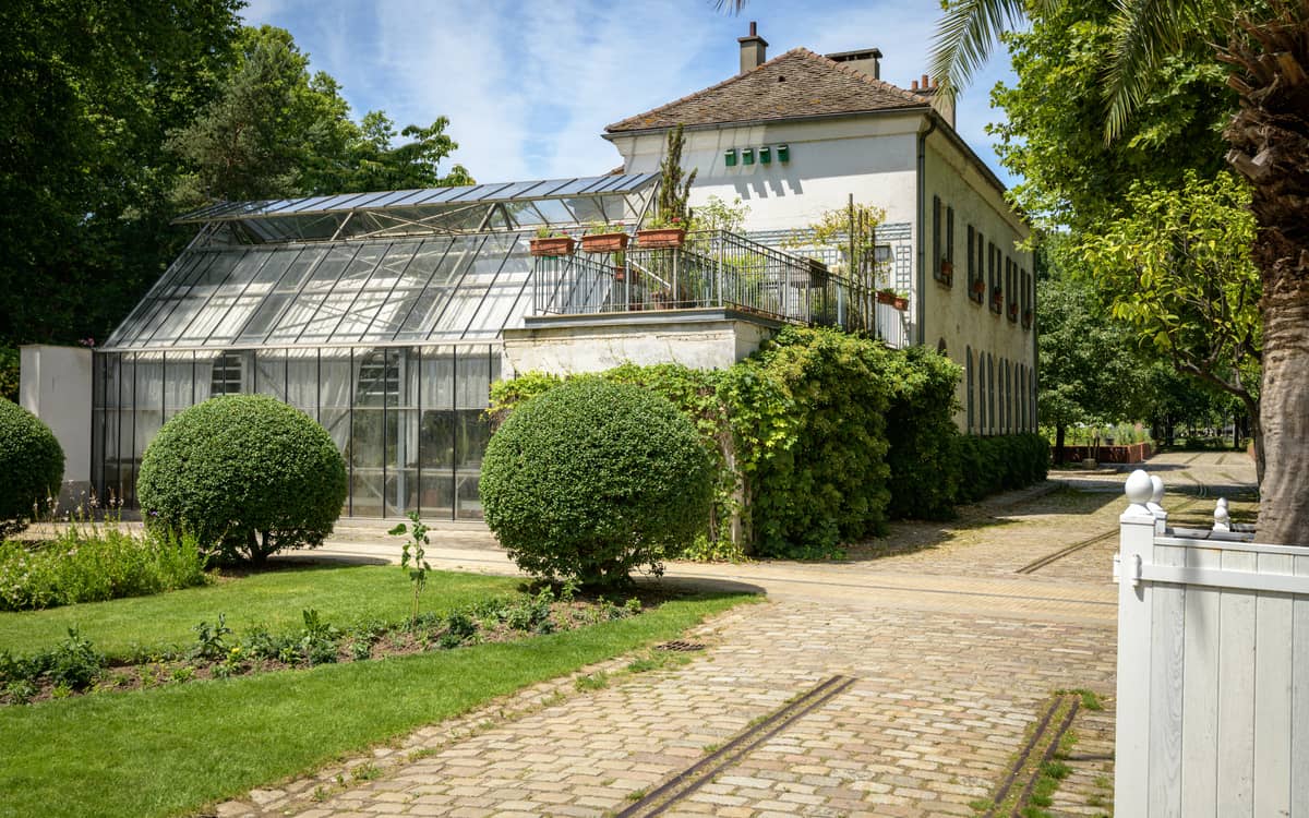 Visite de la serre et conseils pour vos plantes d'intérieur