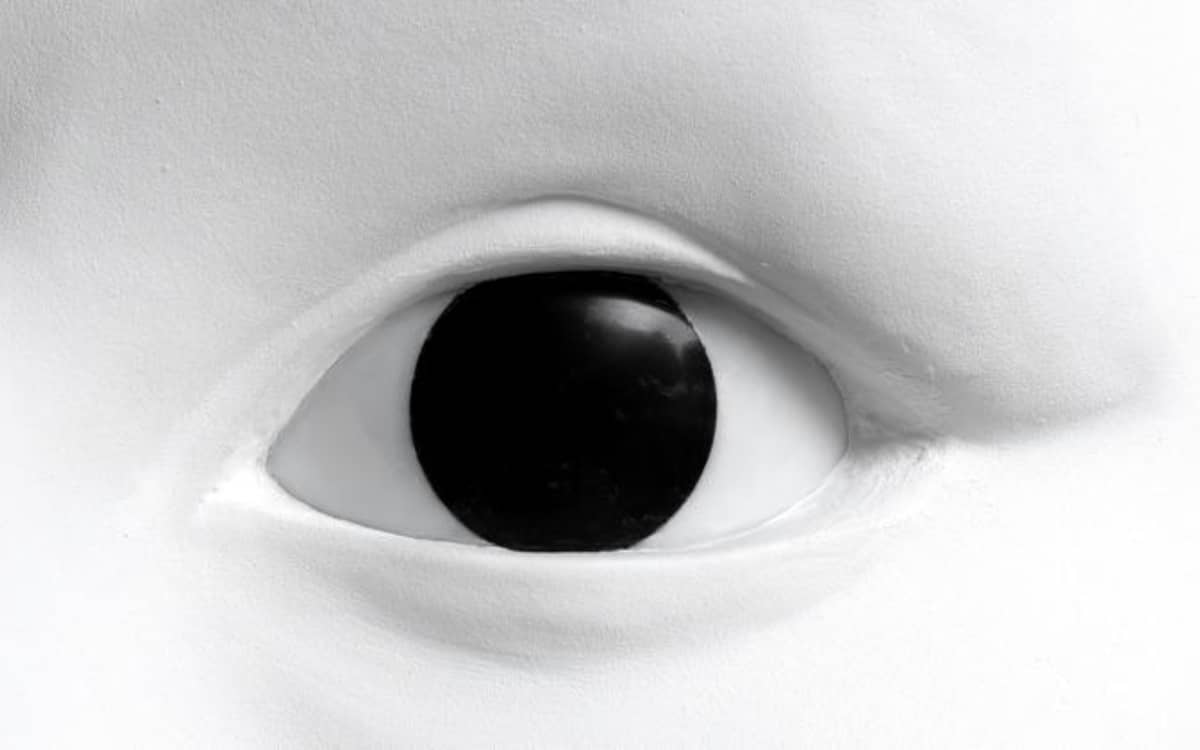 Visionnaires. Carte blanche à Prune Nourry