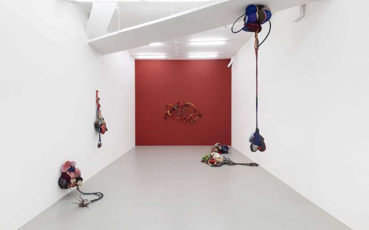 Cœur sauvage. Sonia Gomes