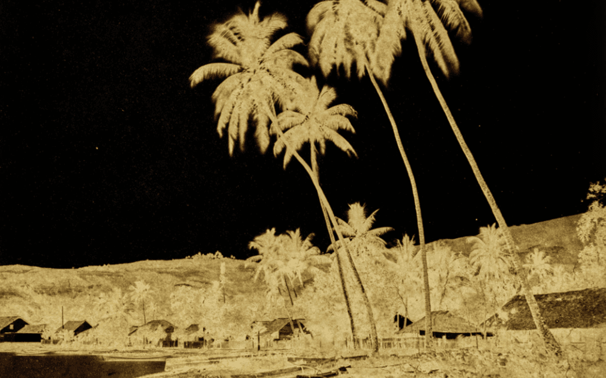 Voir Tahiti. Premières photographies 1859-1870