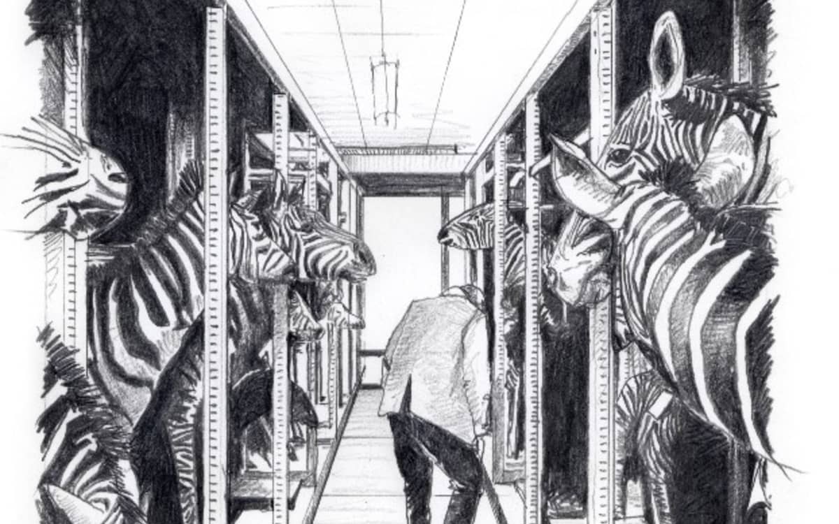 Exposition Animaux et culture