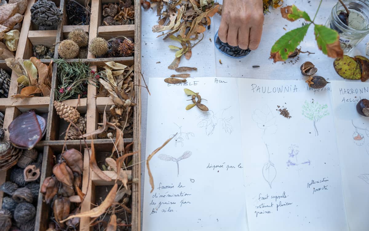 Fête des jardins : Paris Centre célèbre la nature en ville !