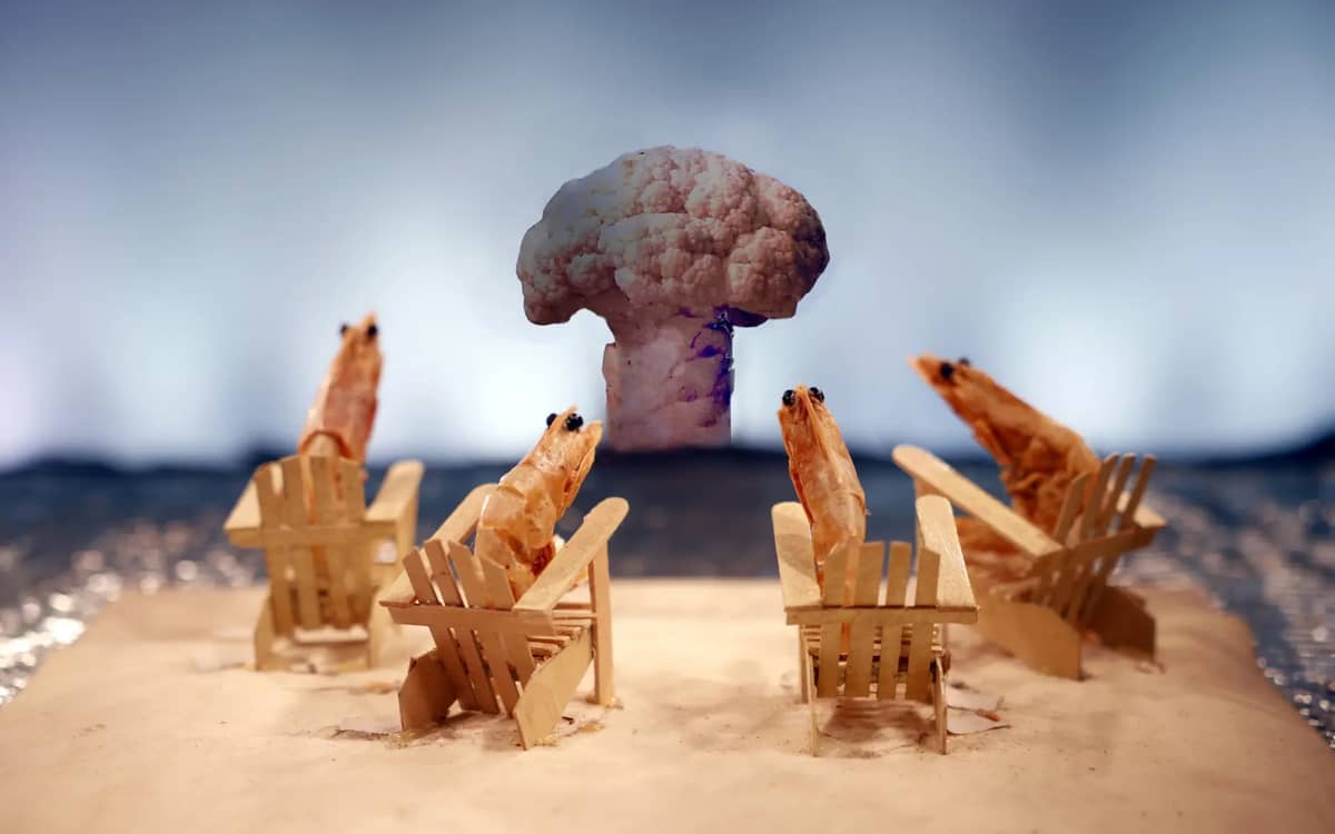 Histoires de crevettes