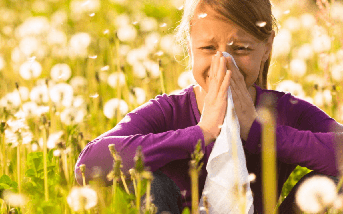 Atelier Pollen et Allergies - Automne de la Science