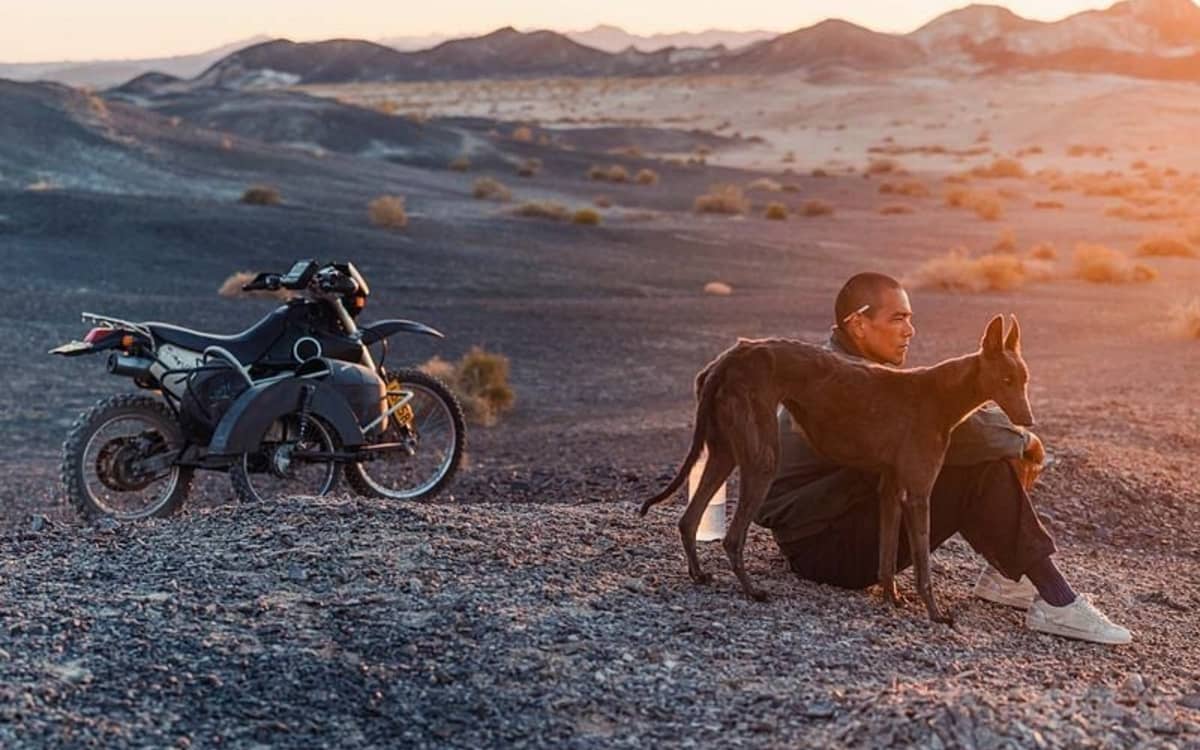 Black Dog en projection au Jeu de Paume