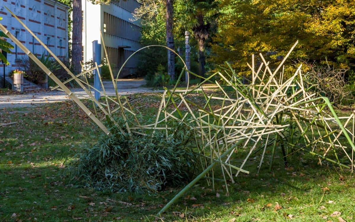 Japanese Floral Art Invites You to the Auteuil Greenhouse Garden