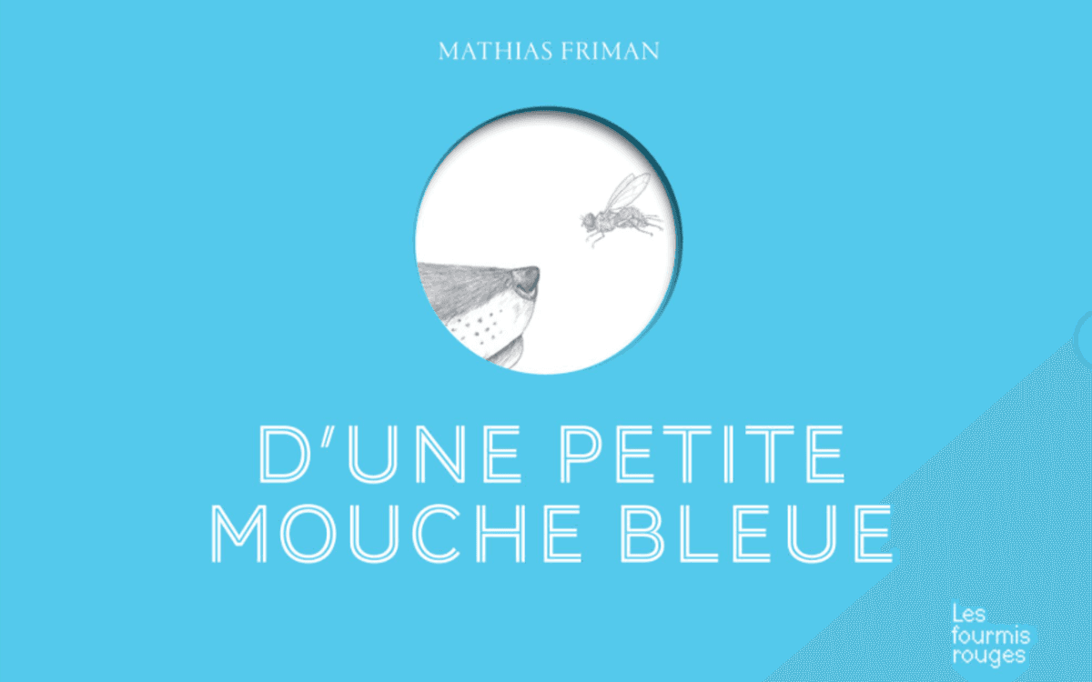D'une petite mouche bleue