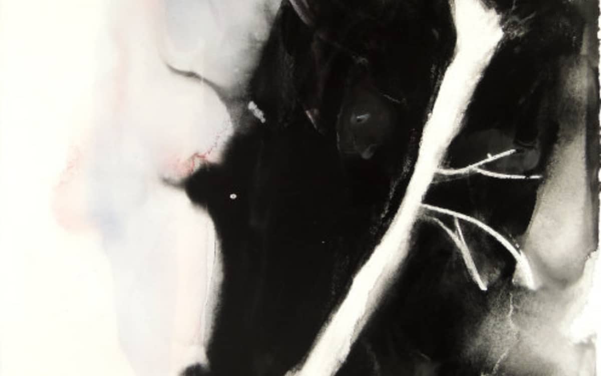 Patricia Erbelding - Endemic