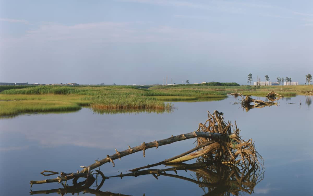 Conférence « Tsunami Trees：Naoya Hatakayema : Après la catastrophe »