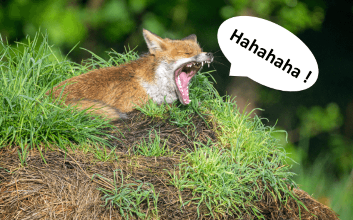 Lecture Nature : Humour sauvage
