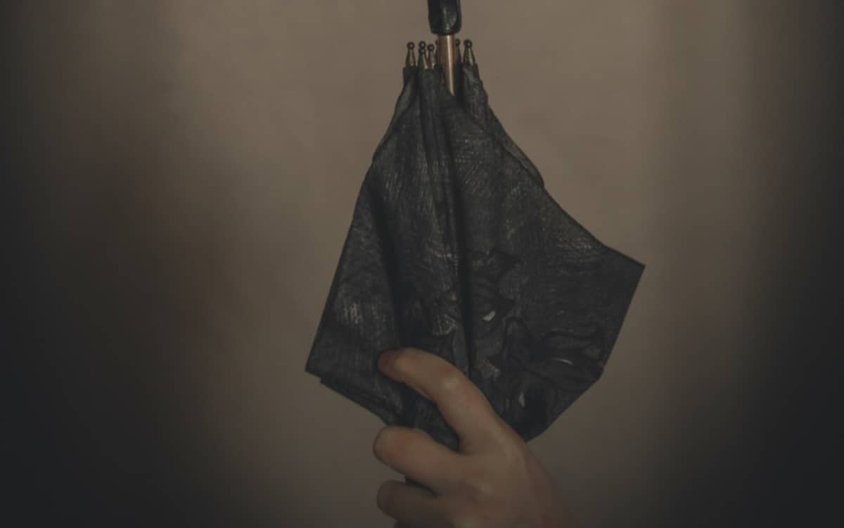Le Parapluie de Rosa Parks
