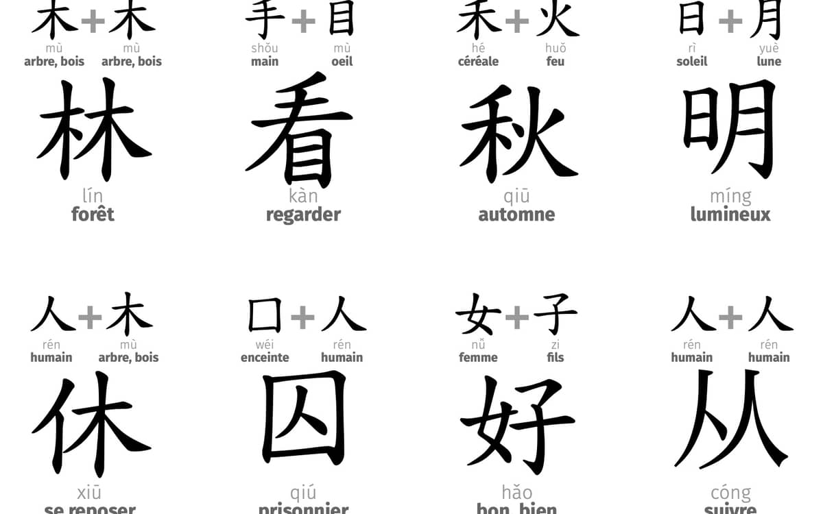 "Je n'y comprends rien… c'est du chinois !