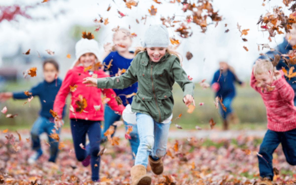 Stage Multiactivités (thème automne)
