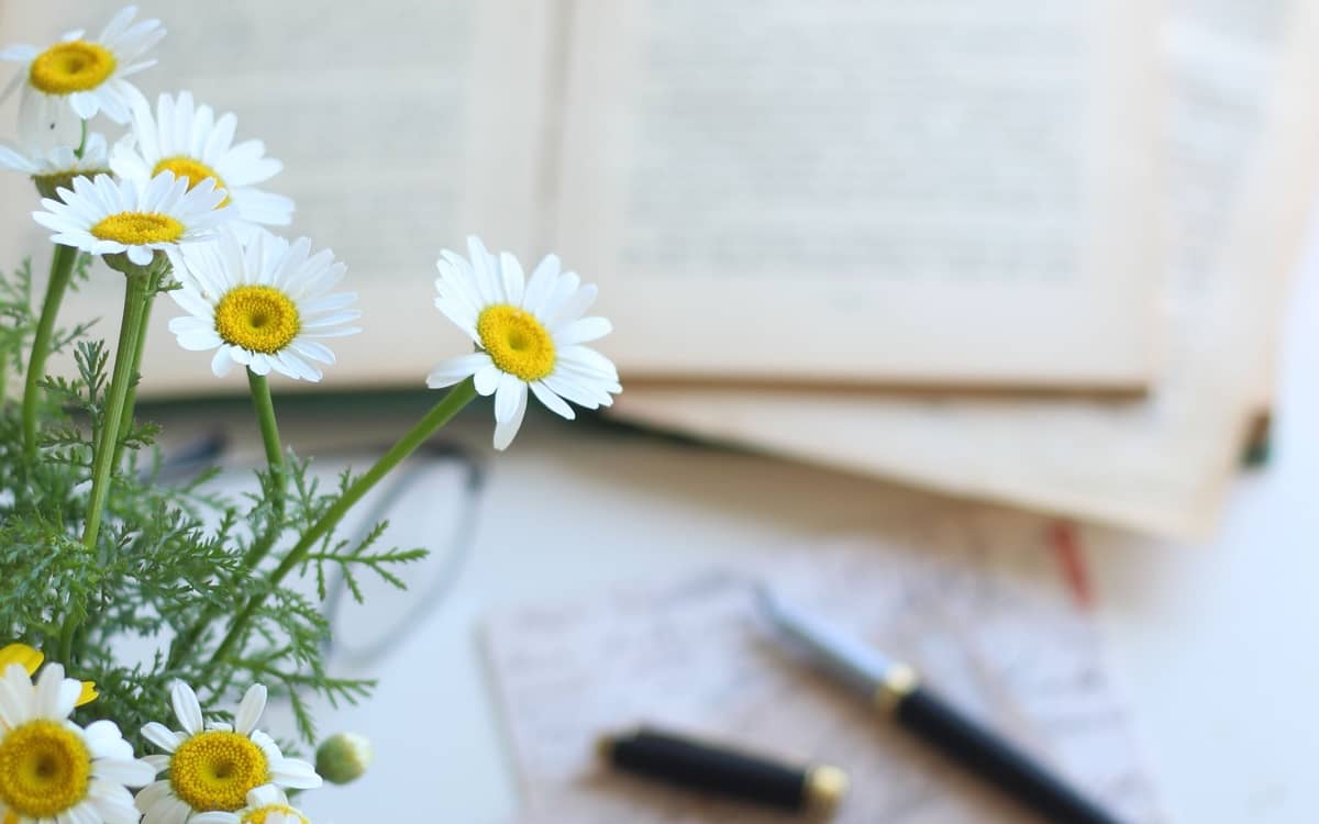 Atelier d'écriture : "Ce que la mémoire invente"