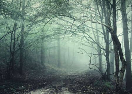 A Walk Through the Paths of Mystery