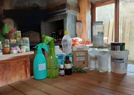 Eco-Detergents Workshop