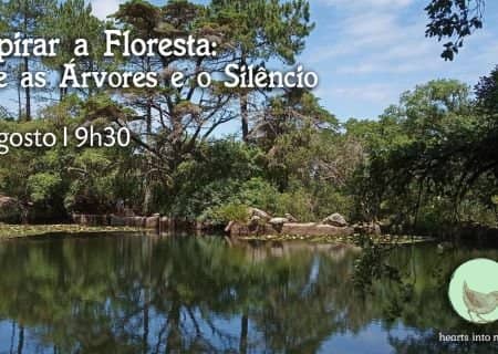 Respirar a Floresta: entre as Árvores e o Silêncio