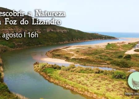 Discovering the Nature of the Lizandro River Mouth