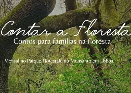 Contar a Floresta - contos para familias na floresta