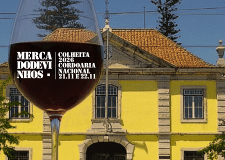 MERCADO DE VINHOS
