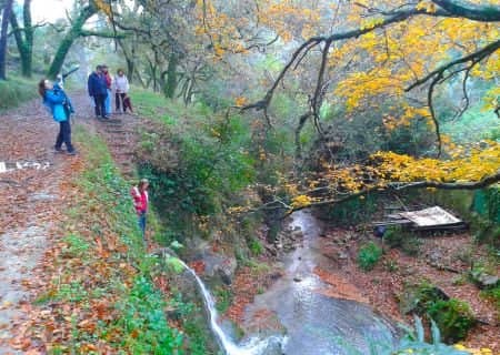 As Boas-Vindas ao Outono – Quinta da Fonteireira
