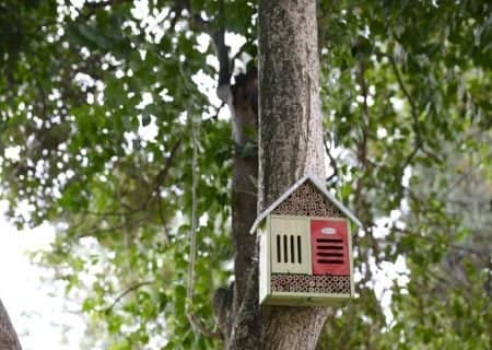 Workshop: Build Your Own Insect Hotel