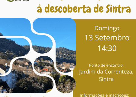 De pista em pista, à descoberta de Sintra