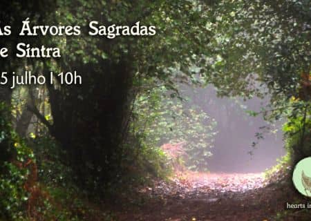 The Sacred Trees of Sintra