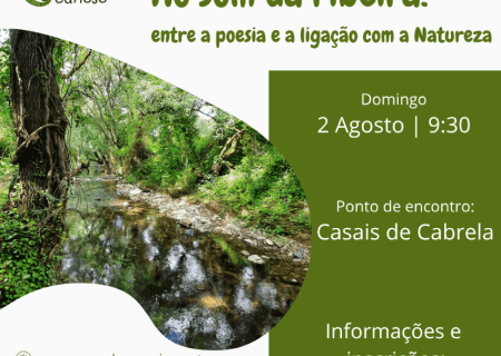 Ao som da ribeira: entre a poesia e a ligação com a Natureza