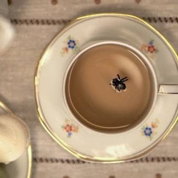 Miguel Fragata and Inês Barahona / Formiga Atómica - A Fly in Our Tea
