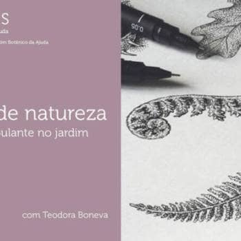 Desenho de Natureza |  A linha deambulante no jardim