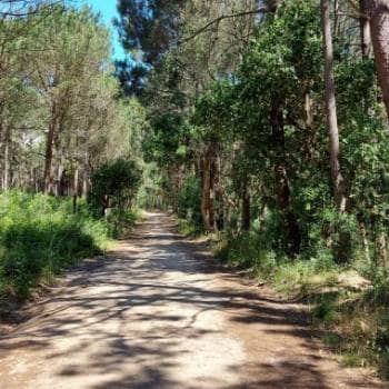 Nature Trails - Explore the Natural Park