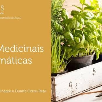 Plantas Medicinais e Aromáticas
