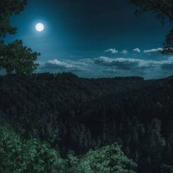 Full Moon Walk at Cresmina Dune | Cascais