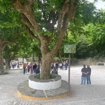 Feira da Bagageira em Sintra