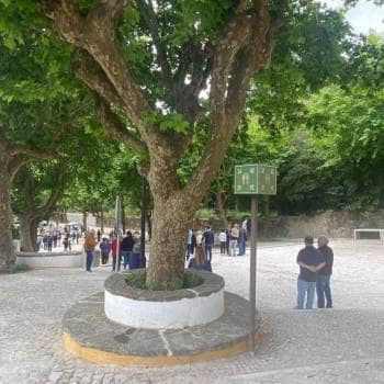Feira da Bagageira em Sintra