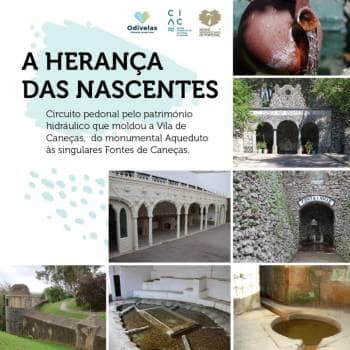 A HERANÇA DAS NASCENTES!
