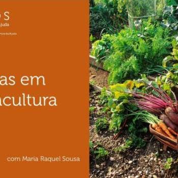 Hortas em Permacultura