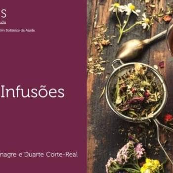 Tea and Infusions