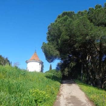 Caminhada por Trilhos e Miradouros de Monsanto