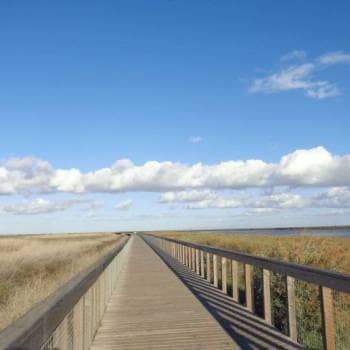 Caminhando nos Passadiços do Tejo