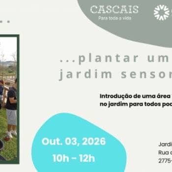 Let's Plant a Sensory Garden in the Garden!