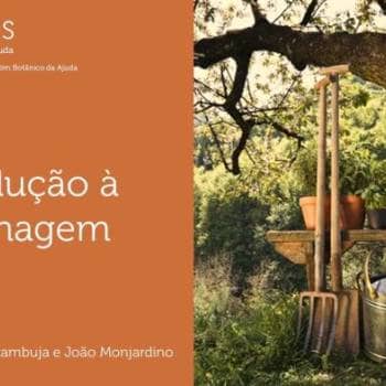 Introduction to Gardening