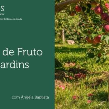 Árvores de Fruto em Jardins