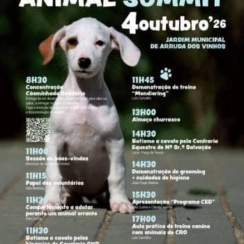 Animal Summit